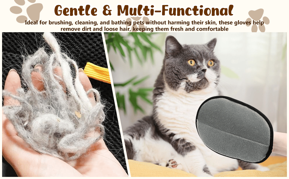 PawClean-Tu aliado para mantener tus espacios libres de pelos