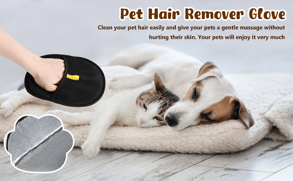 PawClean-Tu aliado para mantener tus espacios libres de pelos