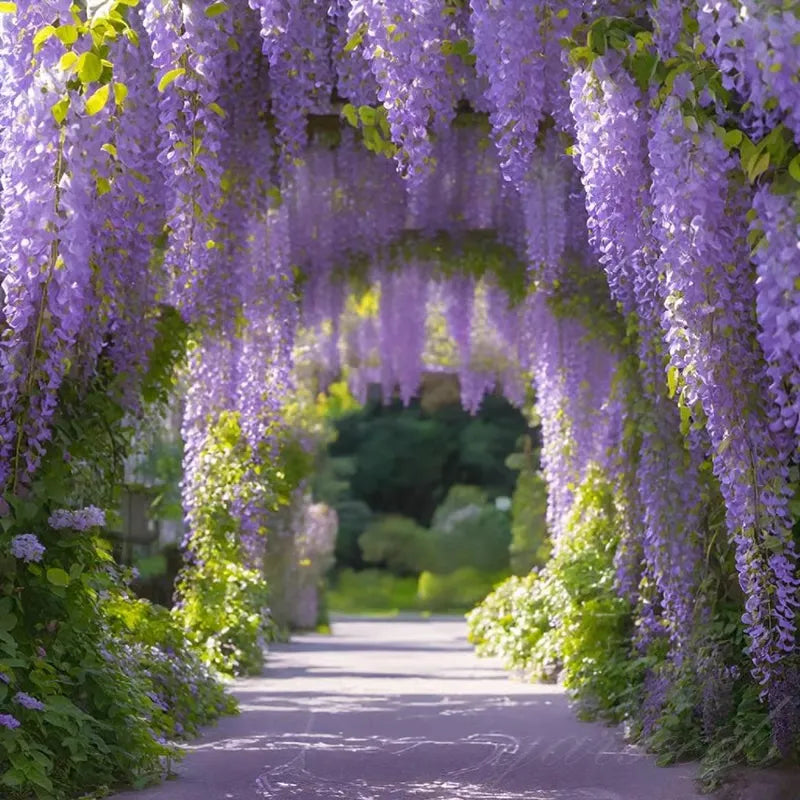 FlorCascada™ Convierte tu jardín en un espectáculo natural de flores colgantes todo el año.