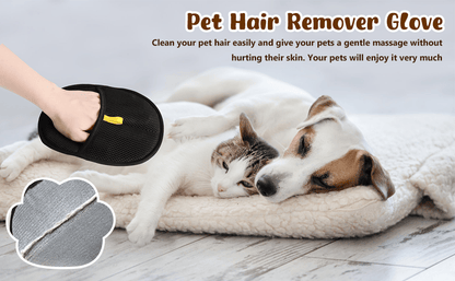 PawClean-Tu aliado para mantener tus espacios libres de pelos