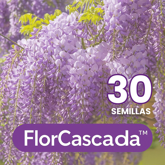 FlorCascada™ Convierte tu jardín en un espectáculo natural de flores colgantes todo el año.